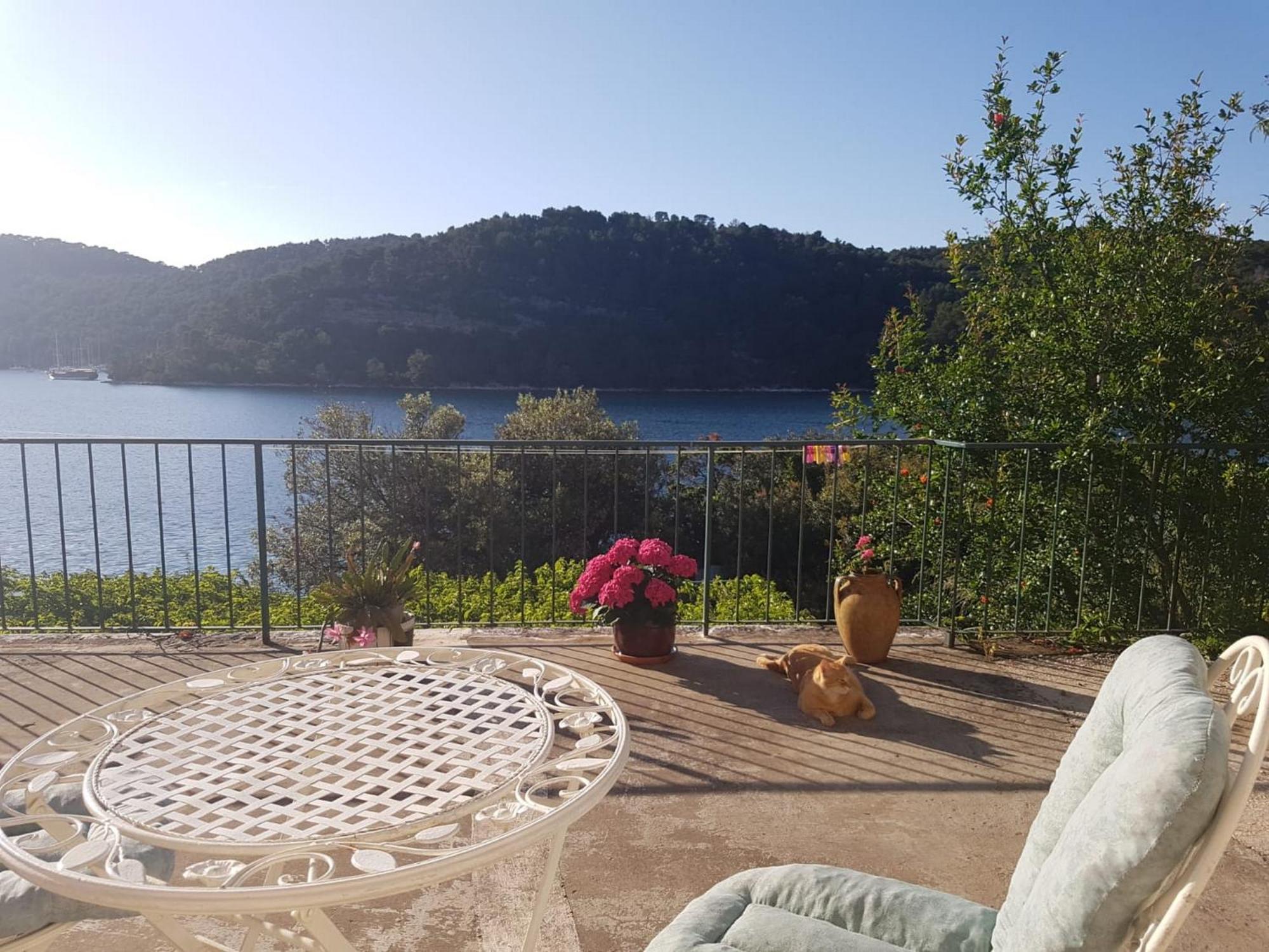 Guest House Busurelo Polače الغرفة الصورة